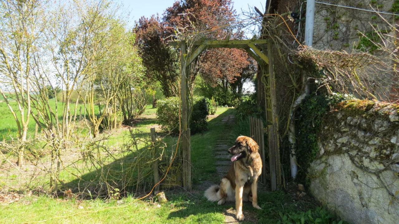 La fosse sèche Bed and Breakfast Dolus-le-Sec Esterno foto